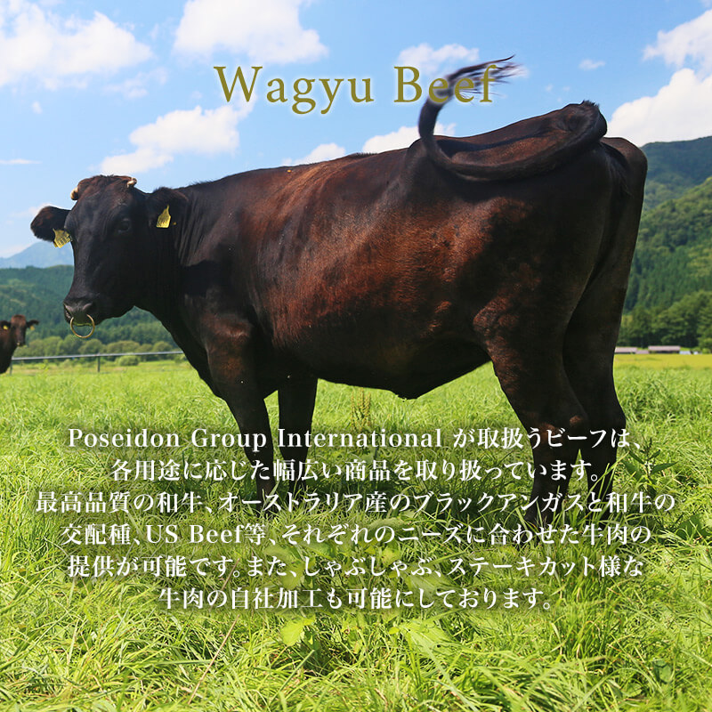 Poseidon Group International が取扱うビーフは、各用途に応じた幅広い商品を取り扱っています。最高品質の和牛、オーストラリア産のブラックアンガスと和牛の交配種、US Beef等、それぞれのニーズに合わせた牛肉の提供が可能です。また、しゃぶしゃぶ、ステーキカット様な牛肉の自社加工も可能にしております。