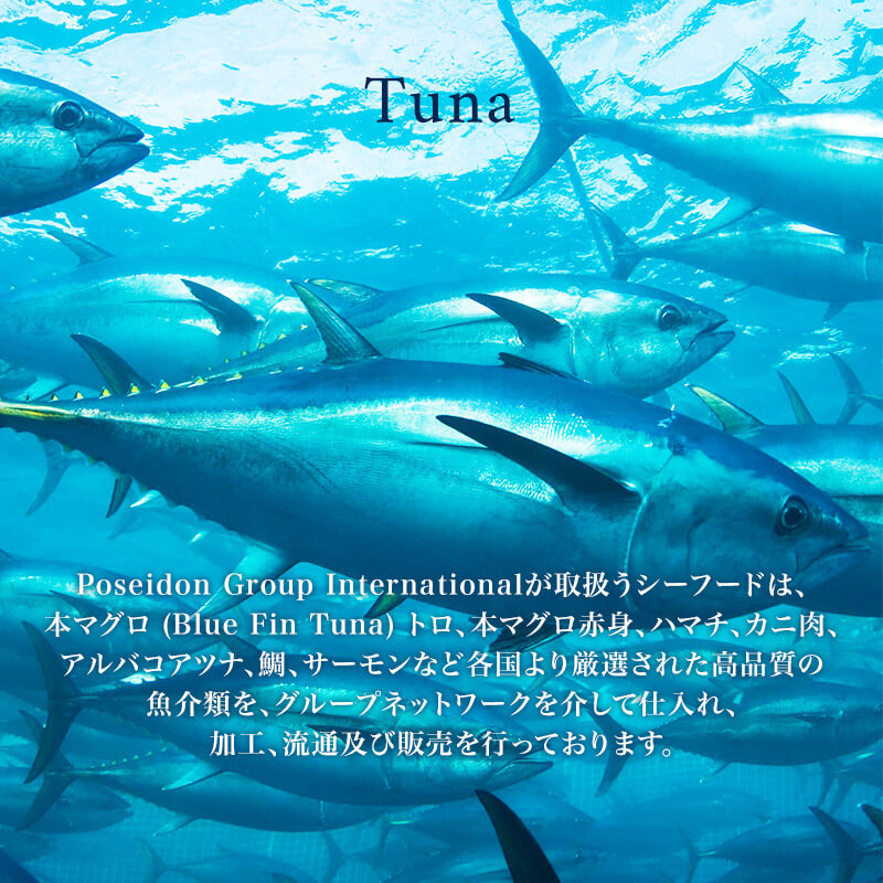 Poseidon Group Internationalが取扱うシーフードは、本マグロ (Blue Fin Tuna) トロ、本マグロ赤身、ハマチ、カニ肉、アルバコアツナ、鯛、サーモンなど各国より厳選された高品質の魚介類を、グループネットワークを介して仕入れ、加工、流通及び販売を行っております。